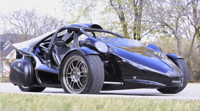 Campagna T-Rex Review