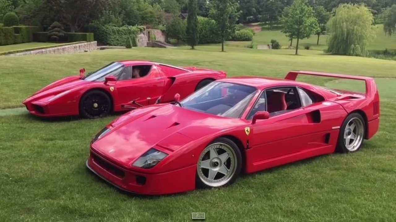 Video Ferrari F40 En Enzo Spelen In De Achtertuin