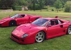 Ferrari F40 en Enzo spelen in de achtertuin