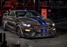 Speedkore All Carbon GT350R