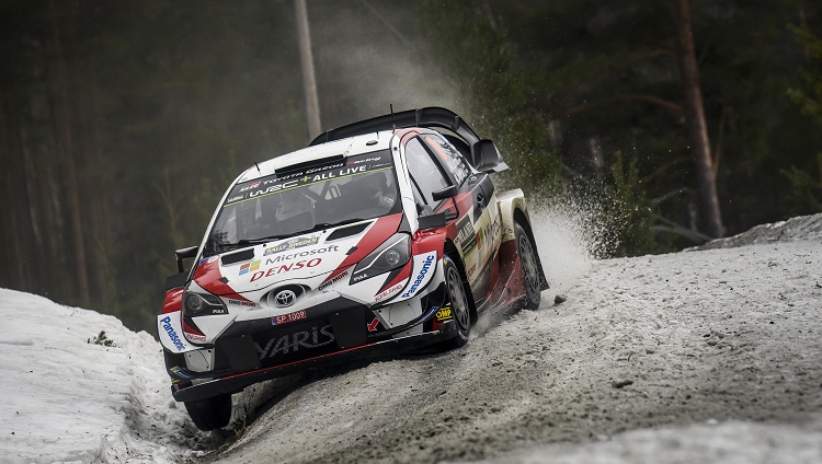 WRC 2019 - Rally Sweden Highlights
